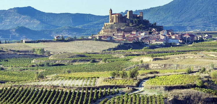 La Beca Barandiaran 2016 analizará la cultura del vino en la Rioja Alavesa