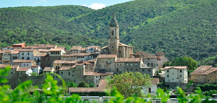 Encuesta sobre el medio rural de Álava