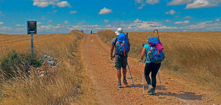 La creación del Camino de Santiago