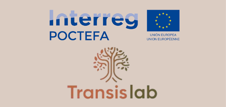 Presentation of the TRANSIS LAB project