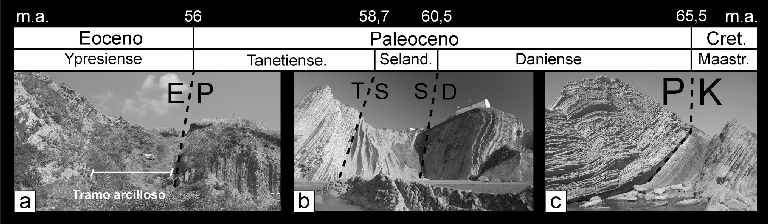 Figura 3