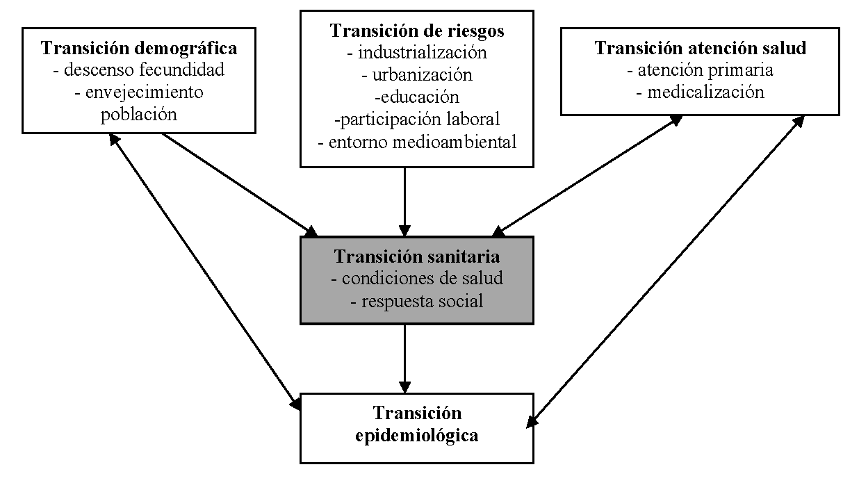 Elementos de la transición sanitaria