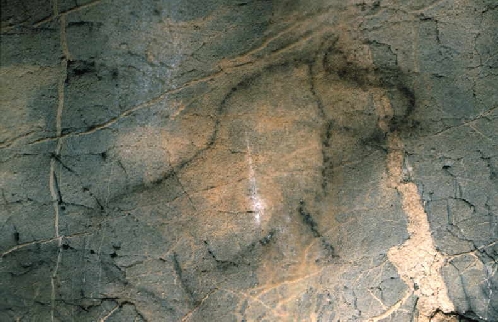 Pintura de la gruta de Oxocelhaya, Isturitz