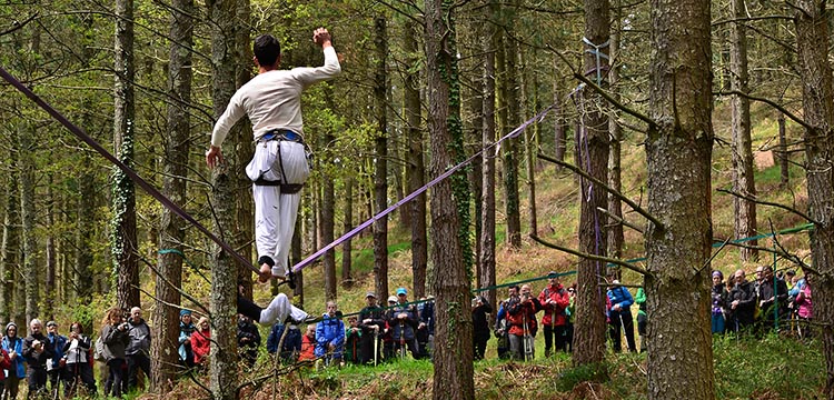 Vida institucional: caminando por la cultura