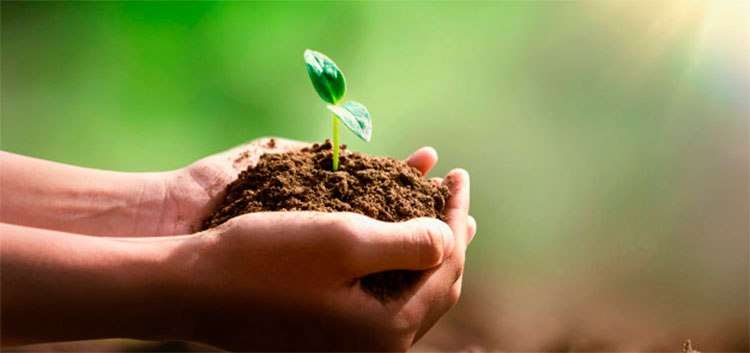 Transición ecológica: ¿necesaria e imposible a la vez?