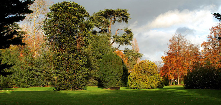 Jardinosof&iacute;a. Una historia filos&oacute;fica de los jardines. Santiago Beruete