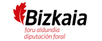 Bizkaia Foru Aldundia