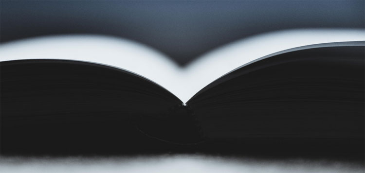 Libro de los artistas