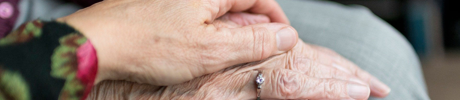Vieillissement et prise en charge de la dépendance dans les territoires d'Euskal Herria