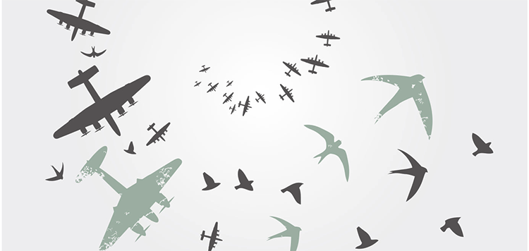 Le dernier passage-Azken bidaia dokumentalaren emanaldia