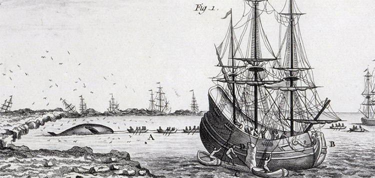 Les Basques dans l'Atlantique