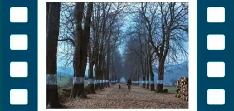 El franquismo en el cine