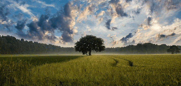 La memoria del Paisaje