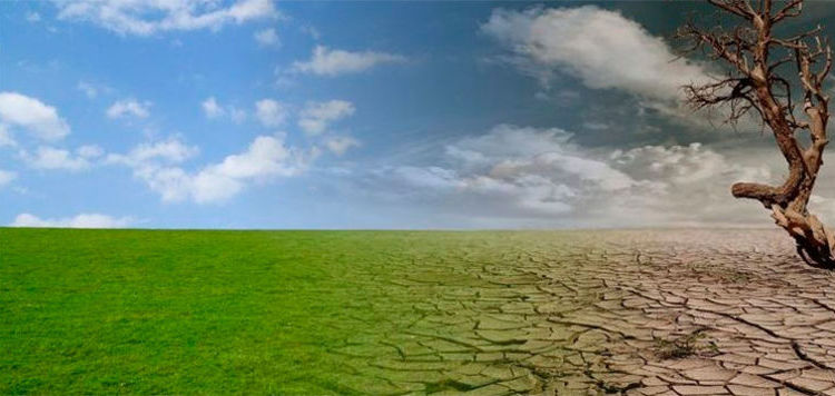 Transici&oacute;n Ecol&oacute;gica. Dise&ntilde;ando nuestro futuro