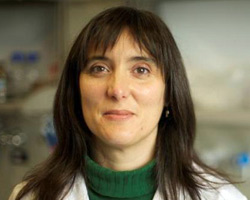 Begoña Sot Sanz / Bioquímica. IMDEA Nanociencia